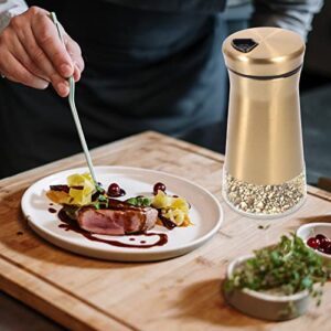 Kichvoe 2Pcs Stainless Steel Salt and Pepper Shakers Set Seasoning Shaker With Holes and Lids Seasoning Bottles Kitchen Bottles