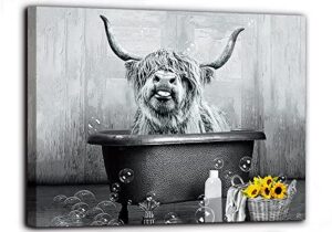 fengyuyi highland cow wall art funny bathroom decor cow in bathtub picture animal black and white canvas print longhorn farmhouse wall decor stretched and framed ready to hang 12x16inch