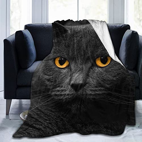 Black Cat Throw Blanket 60x50 Inch Flannel Fleece Fuzzy Soft Plush Blanket for All Season Lightweight Couch Bed Sofa Living Room Office