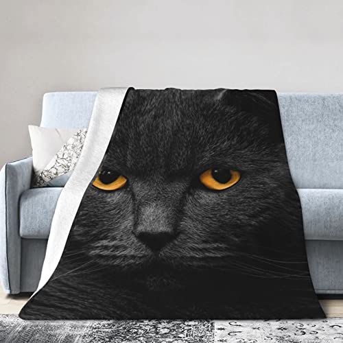 Black Cat Throw Blanket 60x50 Inch Flannel Fleece Fuzzy Soft Plush Blanket for All Season Lightweight Couch Bed Sofa Living Room Office