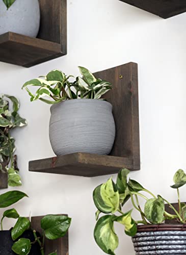 Daniel's Plants Midcentury Modern Gallery Wall Plant Shelf | Pack of 3 Wooden Shelves | L Shaped Floating Shelf Kit | Floating Shelves | Wood Floating Shelf