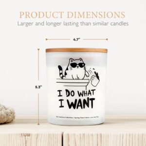 Cat Gifts for Cat Lovers - Cat Lovers Gifts for Women Funny Cat Mom Pet Candle, Christmas Cat Stuff for Cat Dad Gifts, Cat Decor for Room, Bathroom, Home Office Desk Decorations, Crazy Cat Lady Things