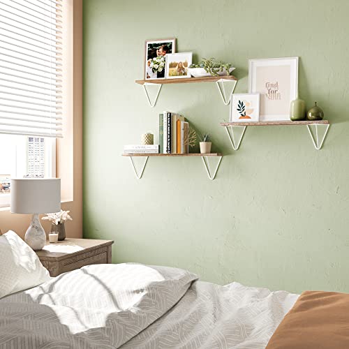 Wallniture Colmar Floating Shelves for Wall Decor, Wall Bookshelf Living Room Decor Bathroom Organizer Wall Shelves for Bedroom & Kitchen Organization Burnt 24" Set of 3