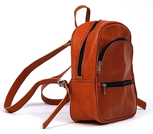 Rassy&Massy 11 Inch Leather Backpack Purse for Women Fashion Designer Casual Day Out, Travel Ladies Shoulder Bags-Gift for Her