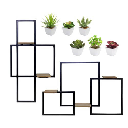 Wall Shelf Succulent Home Decor Bundle | 8 Piece Set | Beautiful Wall Decor