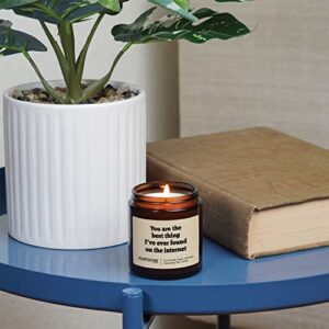 Hatoune Mystic Library Scented Soy Candle, You Are The Best Thing I've Ever Found On The Internet, Made in USA, 20-25 Hour Burn Time, 3.4 oz Amber Jar