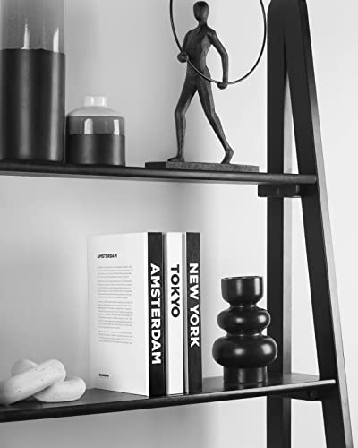Decorative Books for Home Decor - Book Decorations for Living Room & Beyond, Book Decor, Book Shelf Decor (Set of 3 Books for Decor) - Blank Books New York/Tokyo/Amsterdam from Shelf & Shelf
