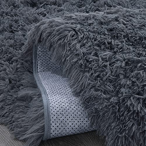 HOMBYS Fluffy Large Area Rug for Living Room 8x10 Feet, 2.4" Plush Indoor Carpets for Bedroom Childern Nursery Teens Room, Super Soft Shaggy Furry Rugs Machine Washable Home Decor