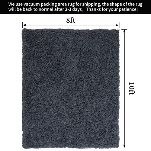 HOMBYS Fluffy Large Area Rug for Living Room 8x10 Feet, 2.4" Plush Indoor Carpets for Bedroom Childern Nursery Teens Room, Super Soft Shaggy Furry Rugs Machine Washable Home Decor