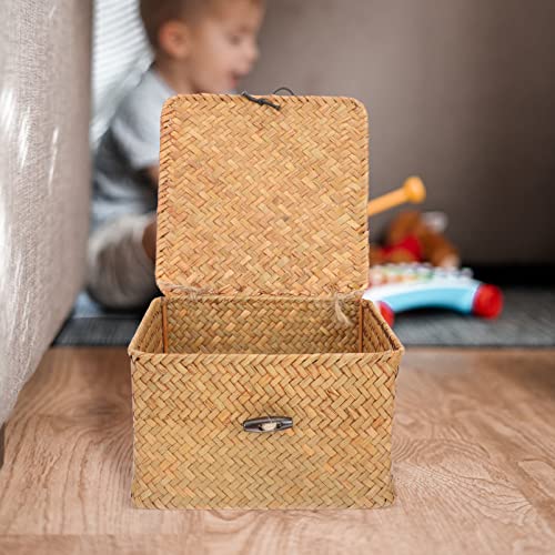 Straw Storages Baskets With Lid: Handwoven Wicker Storage Bins Square Household Organizer Boxes Shelf Wardrobe Organizer Case for Desktop Home Decoration