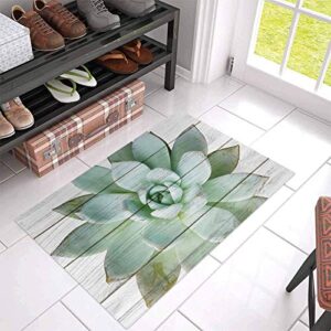 Indoor Doormat Absorbent Bath Rugs Entrance Non Slip Front Door Mat Spring Green Cactus Farm Board Kitchen Carpets Aesthetic Succulent Plants Floor Mats for Bathroom Bedroom Living Room Decor 16x24In