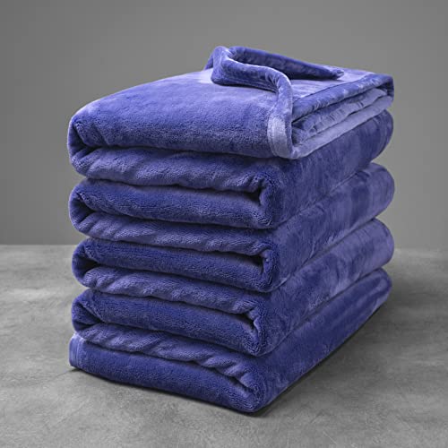 Mellowdy Extra Thick Hearty Plush Flannel Blanket (Violet Purple, 60x80) - 500GSM Twin Size Warm Blanket for Winter, Fall | Soft, Fluffy, Cuddly, Perfect for Bed, Oversized Throw for Couch, Sofa