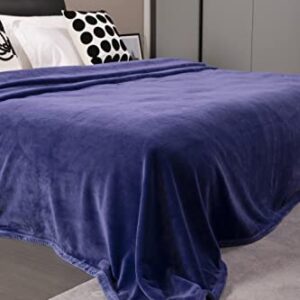 Mellowdy Extra Thick Hearty Plush Flannel Blanket (Violet Purple, 60x80) - 500GSM Twin Size Warm Blanket for Winter, Fall | Soft, Fluffy, Cuddly, Perfect for Bed, Oversized Throw for Couch, Sofa