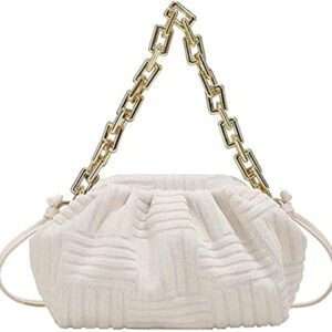 HDHTB Dumpling handbag cloud shape shoulder bag casual clutch purse pouch with chunky chain Jacquard velvet crossbody dupe (white)