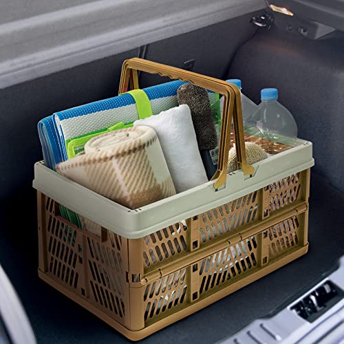 Portable Large Capacity Picnic Basket, Pack of 2 Storage Boxes with Handles, Foldable Plastic Grocery Shopping Basket (Coffee with Off-White)