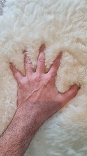 LeMirk Genuine Sheepskin Rug, Argentine Natural Sheepskin Throw,Luxury Fluffy Sheepskin Seat/Chair Cover, Real Shearling Rug Soft, Lambskin Rug for Bedroom Living Room, Ivory White