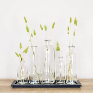 Creative Co-Op Wood Glass Bottle, Set of 5 Sizes Vase Set, Black Tray