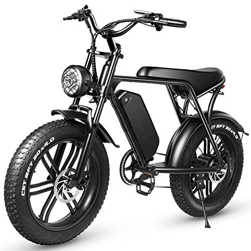 Electric Bike,750W Motor Electric Bike for Adults,20"×4" Fat Tire Mountain Ebike,48v 15AH Removable Battery,28MPH & 38Miles Long Range,E Bikes for Adults Shimano 7 Speed for Outdoor Cycling (Black)