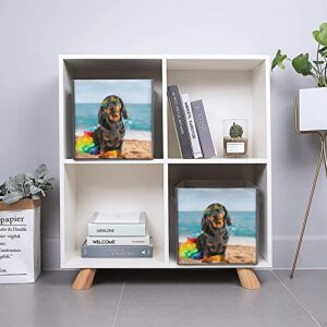 DamTma Funny Dachshund Puppy Collapsible Storage Cubes Dog Sits on Beach Summer Sea 10.6 Inch Fabric Storage Bins Storage Cubes with Handles Basket Storage Organizer for Clothes Pet Toys