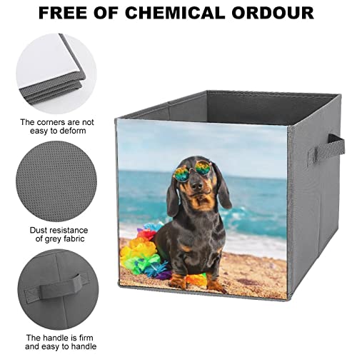 DamTma Funny Dachshund Puppy Collapsible Storage Cubes Dog Sits on Beach Summer Sea 10.6 Inch Fabric Storage Bins Storage Cubes with Handles Basket Storage Organizer for Clothes Pet Toys