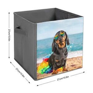 DamTma Funny Dachshund Puppy Collapsible Storage Cubes Dog Sits on Beach Summer Sea 10.6 Inch Fabric Storage Bins Storage Cubes with Handles Basket Storage Organizer for Clothes Pet Toys