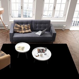 Contemporary Indoor Area Rug Solid Color Black Rug Soft Non-Shedding Carpet Floor Mats Stain Resistant Living Room Bedroom Area Rugs Washable 2' x 3'