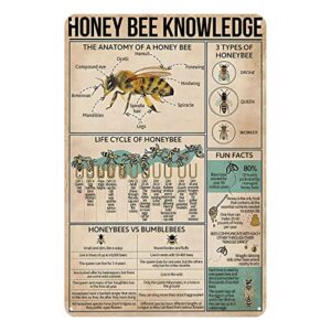 metal tin sign honey bee knowledge metal sign life cycle of honeybee infographics tin sign vintage art wall decor sign home kitchen bar patio cave funny decor 8×12 inches