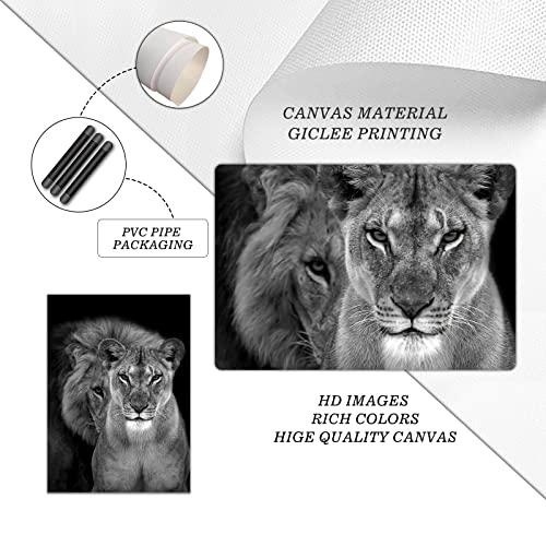 Lion and Lioness Canvas Wall Art Black and White Animal Pictures for Wall Decor Male and Female Lion Picture for Bedroom Modern Animal Canvas Print Wall Art Contemporary Decor for Home 16x24in No Frame