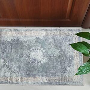 RugOver Machine Washable Area Rug, Pet Friendly & Resistant Indoor Carpet for Kitchen, Bathroom, Living Room (Ash/Champagne, 2' x 3')