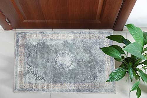 RugOver Machine Washable Area Rug, Pet Friendly & Resistant Indoor Carpet for Kitchen, Bathroom, Living Room (Ash/Champagne, 2' x 3')