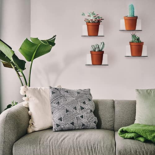 Acrylic Small Adhesive Wall Shelves,Mini Floating Shelves,Acrylic Display Shelves,Ledges for Pop Figures,Plant,Picture Photo Modern Wall for Bedroom Decor Living Room Wall Mounted - Clear