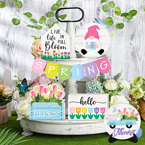 15 Pcs Spring Tiered Tray Decor Set Pride Day Tiered Tray Decor Hello Spring Wooden Signs Colorful Rainbow Wooden Blocks Love Wins Wooden Signs with Holder for Kitchen Shelf House Decor (Spring)