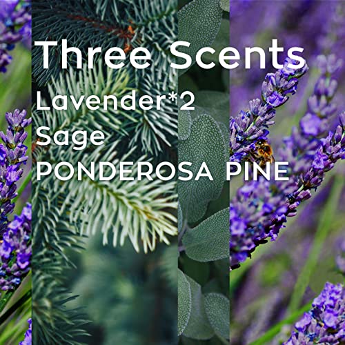 4 Pack Candles for Home Scented, Lavender Candles, 4x6.3 oz 4x50 Hour Long Lasting Aromatherapy Jar Candles Natural Soy Wax Relaxing Candle, Candles Gifts for Women (Lavender *2 &Sage &Jackson)