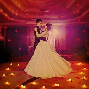 Romantic Decorations Special Night Set, Valentines Day Decor, 24 Pieces LED Tea Lights Candles and 2000 Pieces Artificial Rose Petals for Romantic Night, Valentine's Day, Anniversary or Table Décor