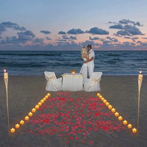 Romantic Decorations Special Night Set, Valentines Day Decor, 24 Pieces LED Tea Lights Candles and 2000 Pieces Artificial Rose Petals for Romantic Night, Valentine's Day, Anniversary or Table Décor