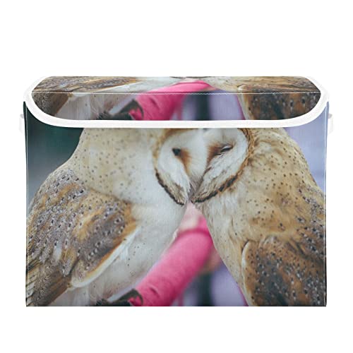 Kigai Storage Basket Cute Owl Storage Boxes with Lids and Handle, Large Storage Cube Bin Collapsible for Shelves Closet Bedroom Living Room, 16.5x12.6x11.8 In