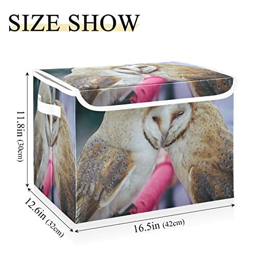 Kigai Storage Basket Cute Owl Storage Boxes with Lids and Handle, Large Storage Cube Bin Collapsible for Shelves Closet Bedroom Living Room, 16.5x12.6x11.8 In