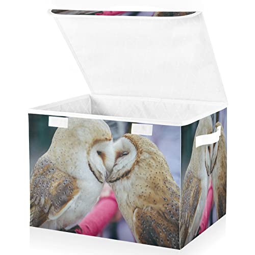 Kigai Storage Basket Cute Owl Storage Boxes with Lids and Handle, Large Storage Cube Bin Collapsible for Shelves Closet Bedroom Living Room, 16.5x12.6x11.8 In