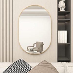 NEUWEABY Oval Bathroom Mirror Capsule Wall Vanity Mirror, 20"x30" Pill Mirrors Wall Mounted Mirror, Large Modern Mirror with Gold Metal Frame, Decor for Entryway, Bedroom, Living Room