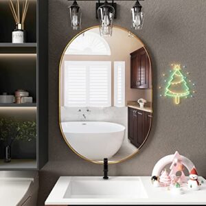 NEUWEABY Oval Bathroom Mirror Capsule Wall Vanity Mirror, 20"x30" Pill Mirrors Wall Mounted Mirror, Large Modern Mirror with Gold Metal Frame, Decor for Entryway, Bedroom, Living Room