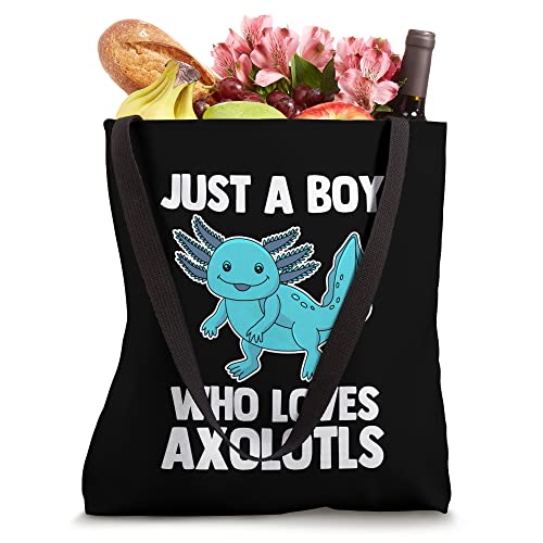 Just A Boy Who Loves Axolotls -Funny Axolotl Gamer Boys Kids Tote Bag