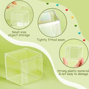 Juexica 12 Pieces Clear Acrylic Plastic Square Cube Small Acrylic Box with Lid Decorative Storage Boxes Jewelry Display Box Mini Clear Container for Home Candy Pill and Tiny Jewelry (4 x 4 x 4 Inch)