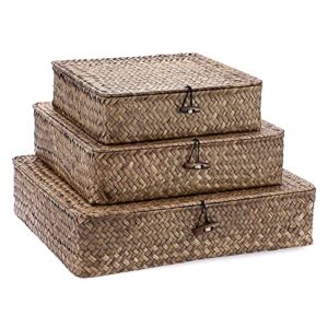 hipiwe flat wicker basket bins with lid – set of 3 handwoven seagrass storage basket shelf baskets boxes multipurpose home organizer bins boxes for shelf pantry closet,large size 14.8″x13″