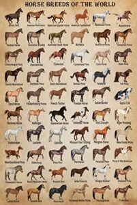 horse knowledge metal tin sign horse breeds of the world retro poster school education country farm cafe living room bathroom kitchen home art wall decoration plaque gift