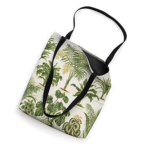 Monstera Succulent Plant Palm Tree Botanical Illustration Tote Bag