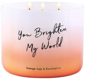 orange goji eucalyptus scented candle 3 wick | aromatherapy stress relief eucalyptus energy candle | highly scented soy candles clean burn 15.8 oz | you brighten my world candle gifts for men & women