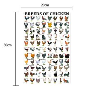 Breeds of Chickens Poster Wall Art Home Decor Vintage Metal Tin Signs Coffee Shop Plate Iron Painting Warn Retro Novelty Funny Humorous Bar Pub Restaurant Kitchen Tin Sign Wall 8x12 Inch