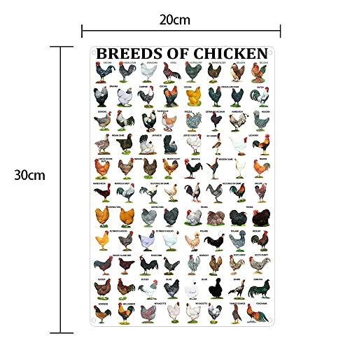 Breeds of Chickens Poster Wall Art Home Decor Vintage Metal Tin Signs Coffee Shop Plate Iron Painting Warn Retro Novelty Funny Humorous Bar Pub Restaurant Kitchen Tin Sign Wall 8x12 Inch