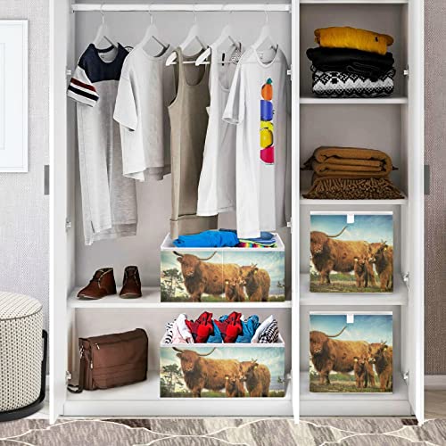 Kigai Storage Basket Highland Cow Foldable Storage Bin 11 X 11 X 11 Inches Cube Storage Baskets Box for Shelves Closet Laundry Nursery Bedroom Home Decor