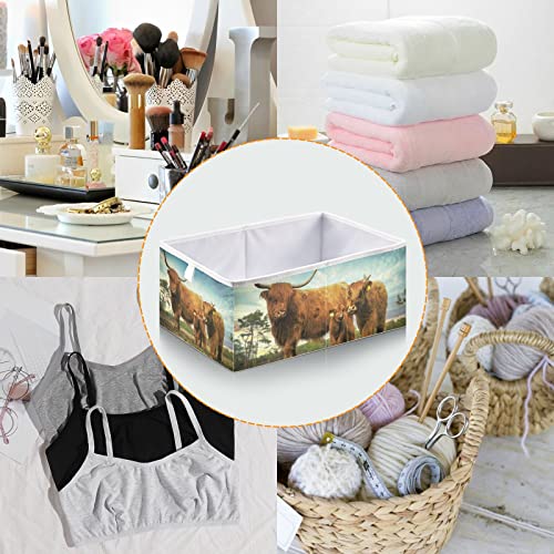 Kigai Storage Basket Highland Cow Foldable Storage Bin 11 X 11 X 11 Inches Cube Storage Baskets Box for Shelves Closet Laundry Nursery Bedroom Home Decor